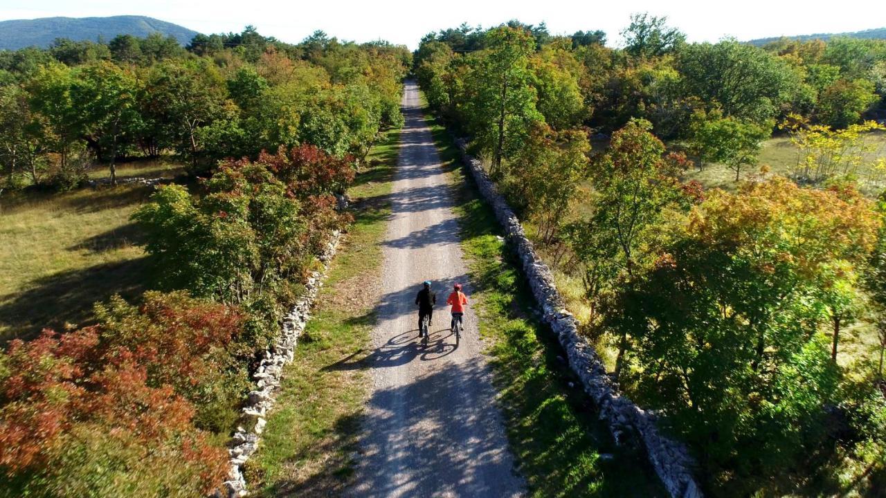Vila Brinovka Kostanjevica na Krasu Extérieur photo
